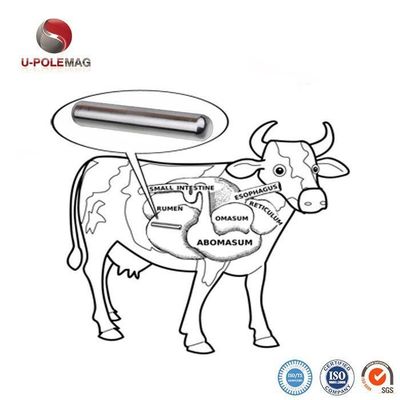 Увеличьте производство крупного рогатого скота с помощью 72,5 граммов AlNiCo 5 Composite Cow Magnet Pill